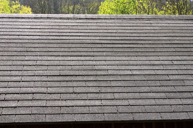 Slate Roof Repair