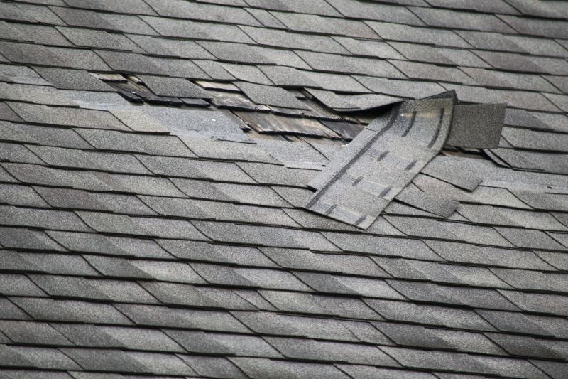 Slate Roof Damage Inspection